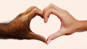 Amor a lo bestia — foto 3
