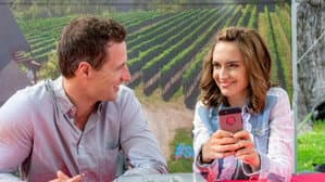 Summer in the Vineyard — foto 10