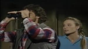 Episodio 223
