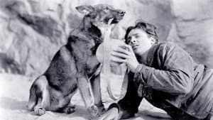 Clash of the Wolves — foto 5