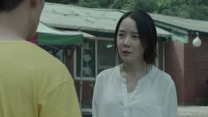 폭력의 씨앗 — foto 5