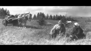 Хөх ногооны униар — foto 2