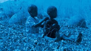 Blue Bird — foto 1
