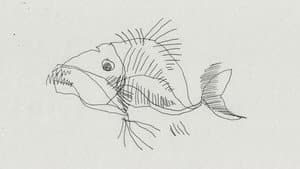 Strange Fish — foto 2