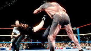 WWE SummerSlam 1993 — foto 5