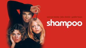 Shampoo — foto 11