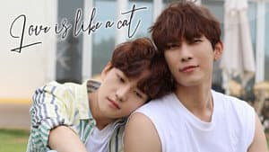사랑은 고양이처럼 — foto 1