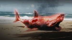 Saltwater — foto 1