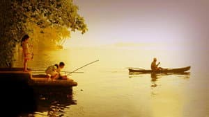 ഗോള്‍ഡ്‌ കോയിന്‍സ് — foto 1