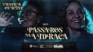 Pássaros na Vidraça — foto 1