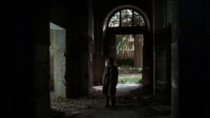 Giornata nera per l'ariete — foto 5