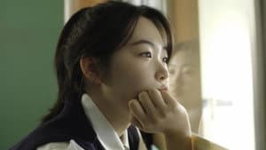 벚꽃 종례 — foto 1