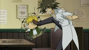 Episodio 13