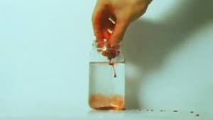 Date of the Dead — foto 6