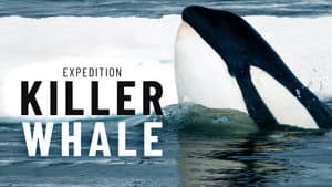 Expedition Killer Whale — foto 1
