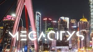 Megacitys - Wenn es Nacht wird in ... — foto 1