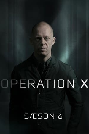 Temporada 6
