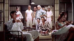 峠を渡る若い風 — foto 1