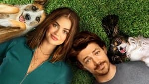 Amor De Cachorros — foto 1