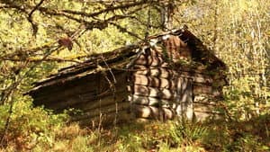 The Ballad of Ginger Goodwin — foto 2