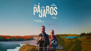 Pájaros — foto 4