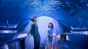 你的情歌 — foto 7
