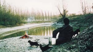 I lupi dentro — foto 1