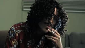 Weird: The Al Yankovic Story — foto 1