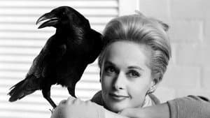 Los pájaros — foto 6