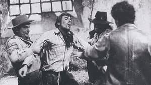 Il tempo degli avvoltoi — foto 1