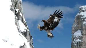 L'aigle royal, seigneur des Alpes — foto 1