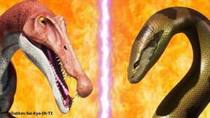 Episodio 3