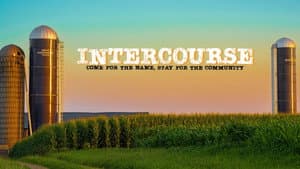 Intercourse — foto 2