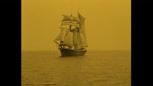 Sîpo phantasma — foto 8
