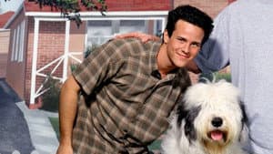 The Shaggy Dog — foto 2
