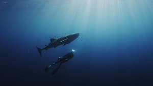L'odyssée des monstres marins — foto 1