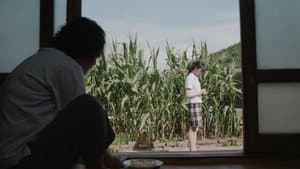 매일의 기도 — foto 1