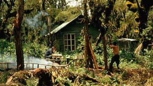 Dian Fossey: Secrets in the Mist — foto 8