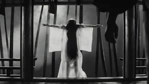 Kuroneko — foto 3