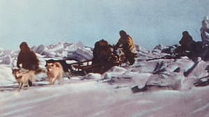 Arctic Fury — foto 1