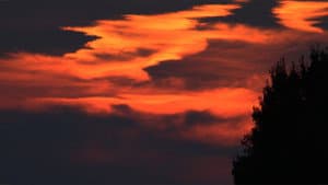 Coeurs Anxieux — foto 3