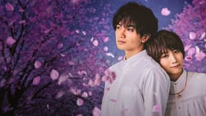 Efímera como la sakura — foto 2