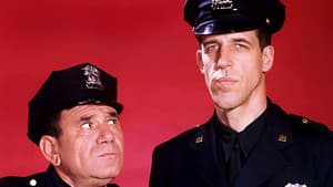 Car 54, Where Are You? — foto 3