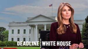 Deadline: White House with Nicolle Wallace — foto 7