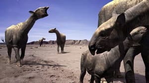 Paseando con Animales Prehistóricos — foto 5