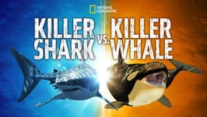 Killer Shark Vs. Killer Whale — foto 2
