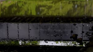 Watercolor (Fall Creek) — foto 2