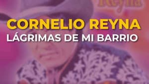 Lágrimas de mi barrio — foto 1