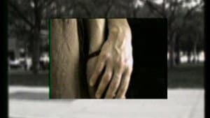 Static — foto 4