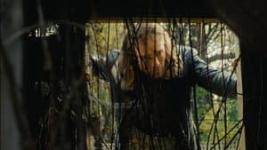 Les escaliers sont en papier — foto 1